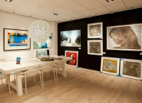 Combi Rail Pro Light